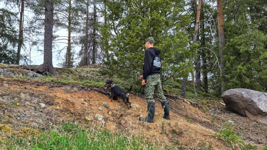 Sisu ja Poju-koira liikkuvat luonnossa ymäri vuoden.